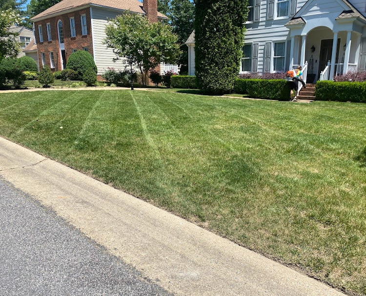 1 Best Rated Glen Allen Lawn Care Landscape Science
